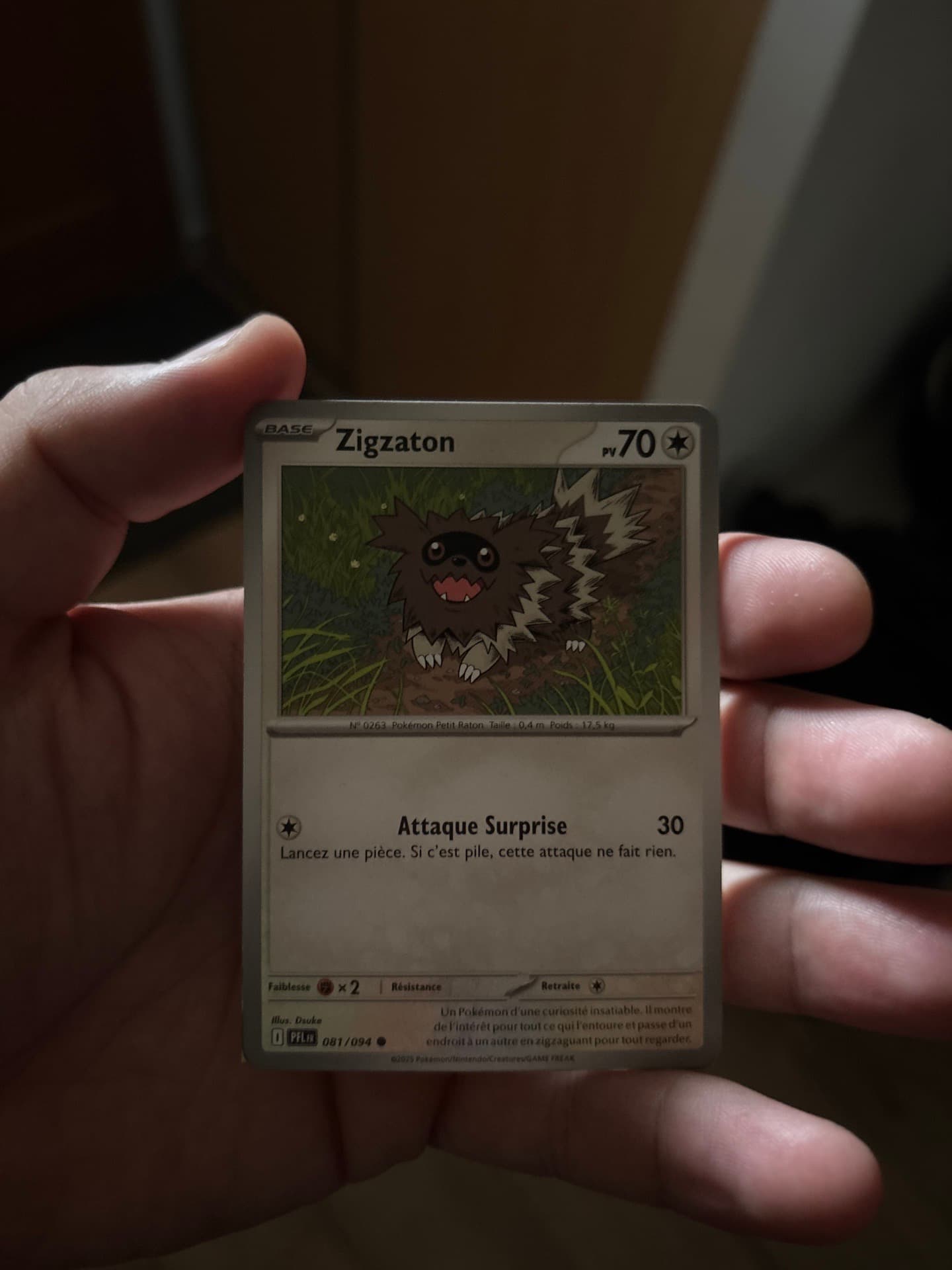 Zigzagoon