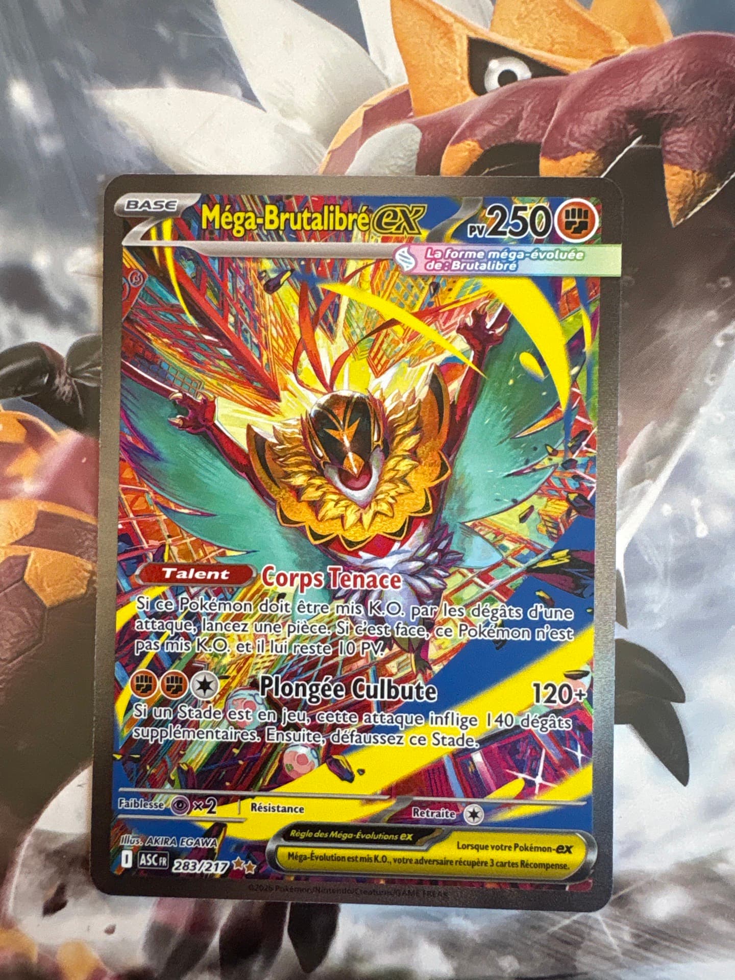 Mega Hawlucha ex