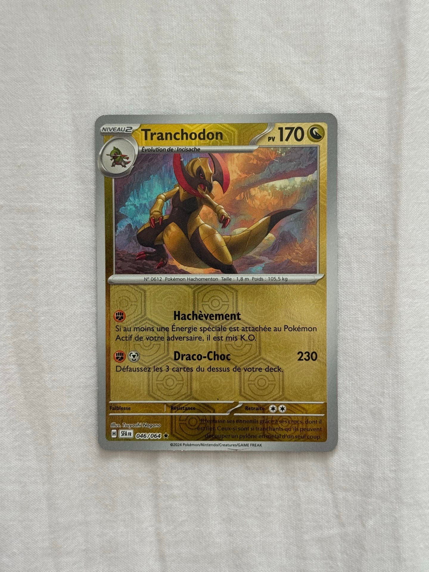 Tranchodon