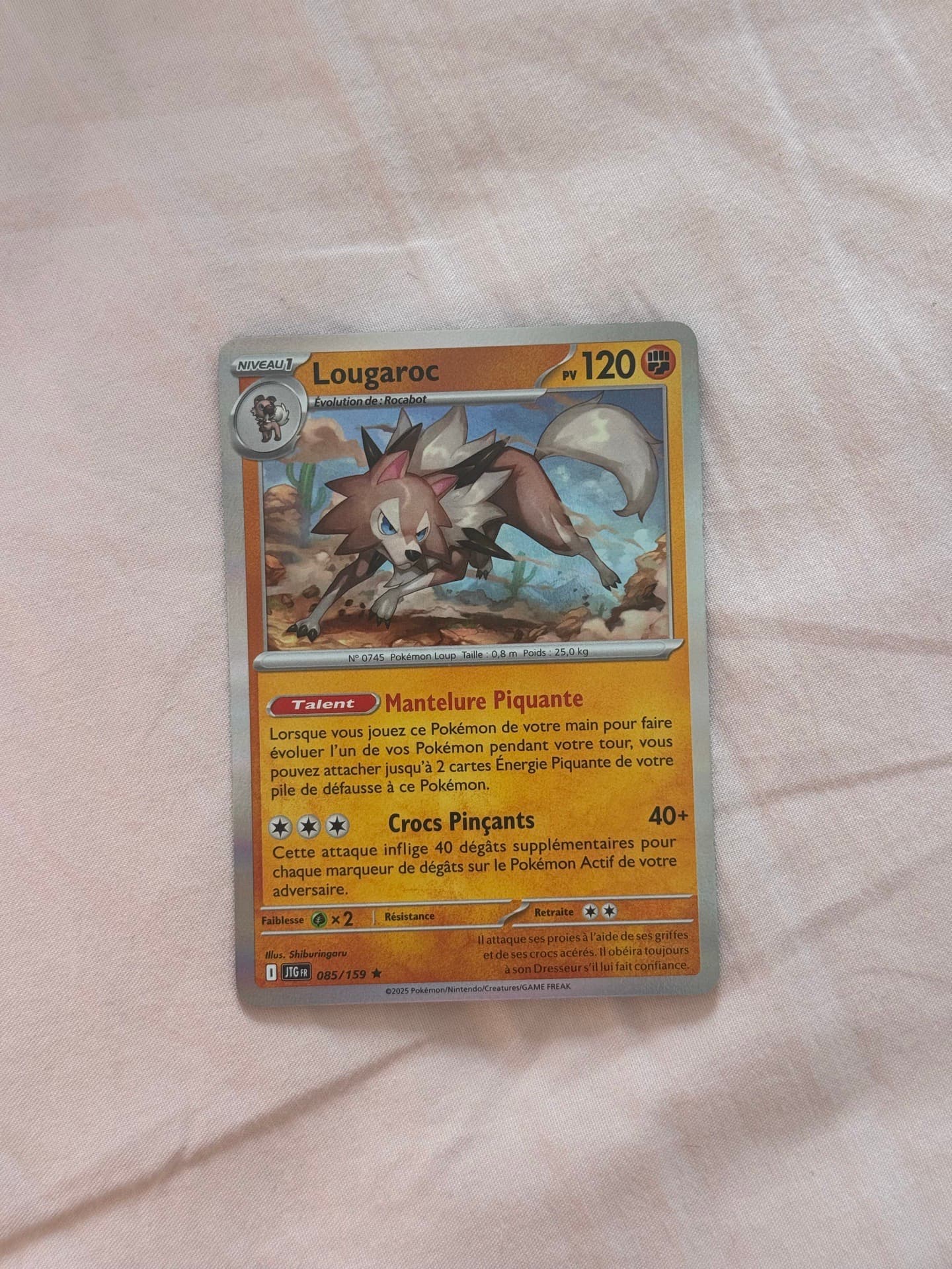 Lougaroc