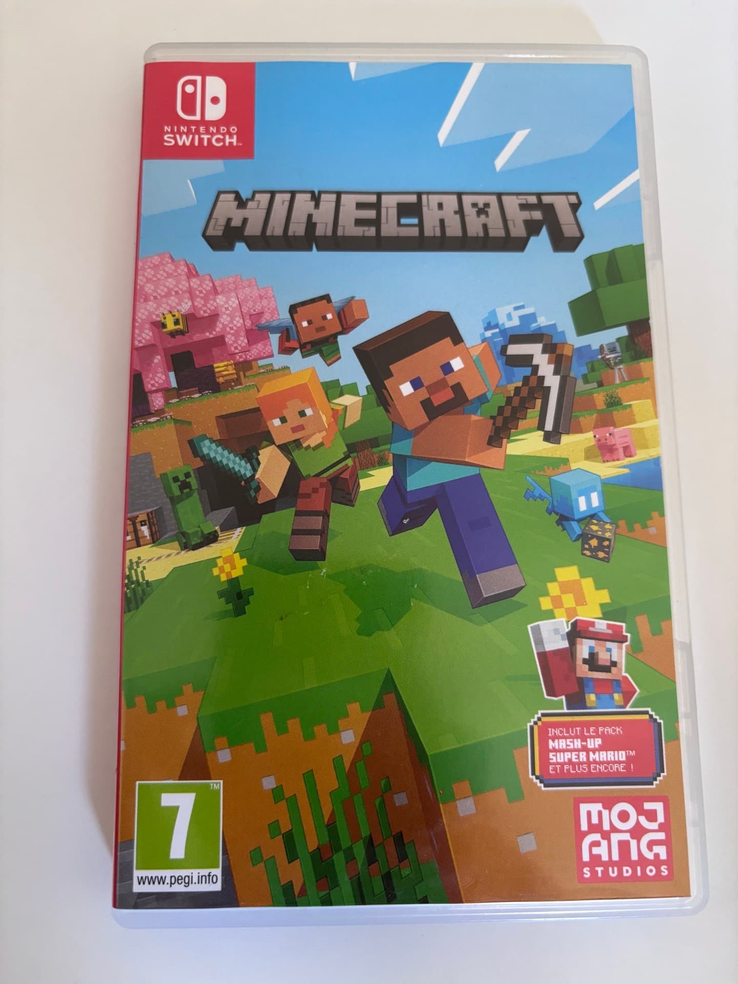 Minecraft
