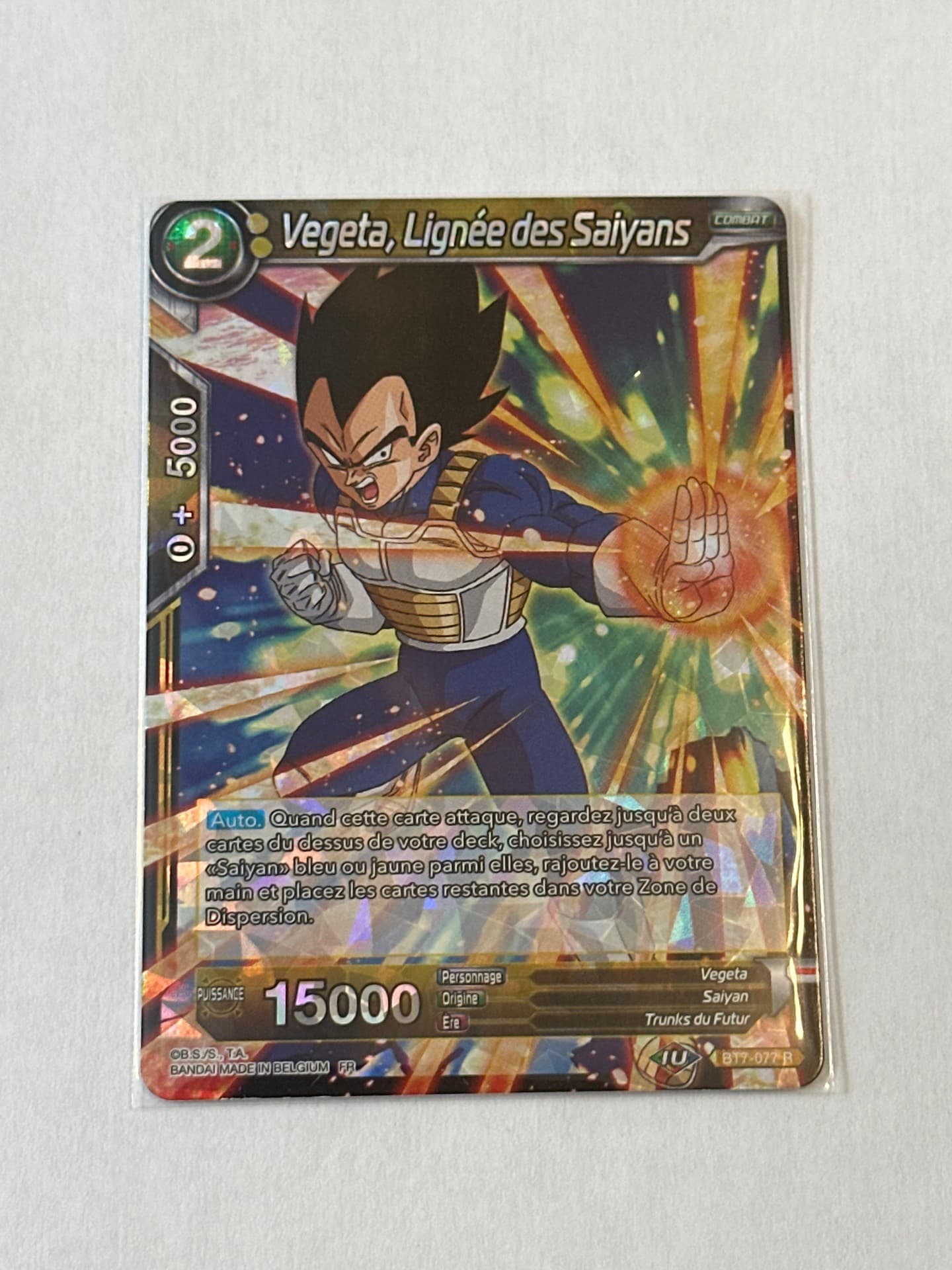 Vegeta, Lignée des Saiyans