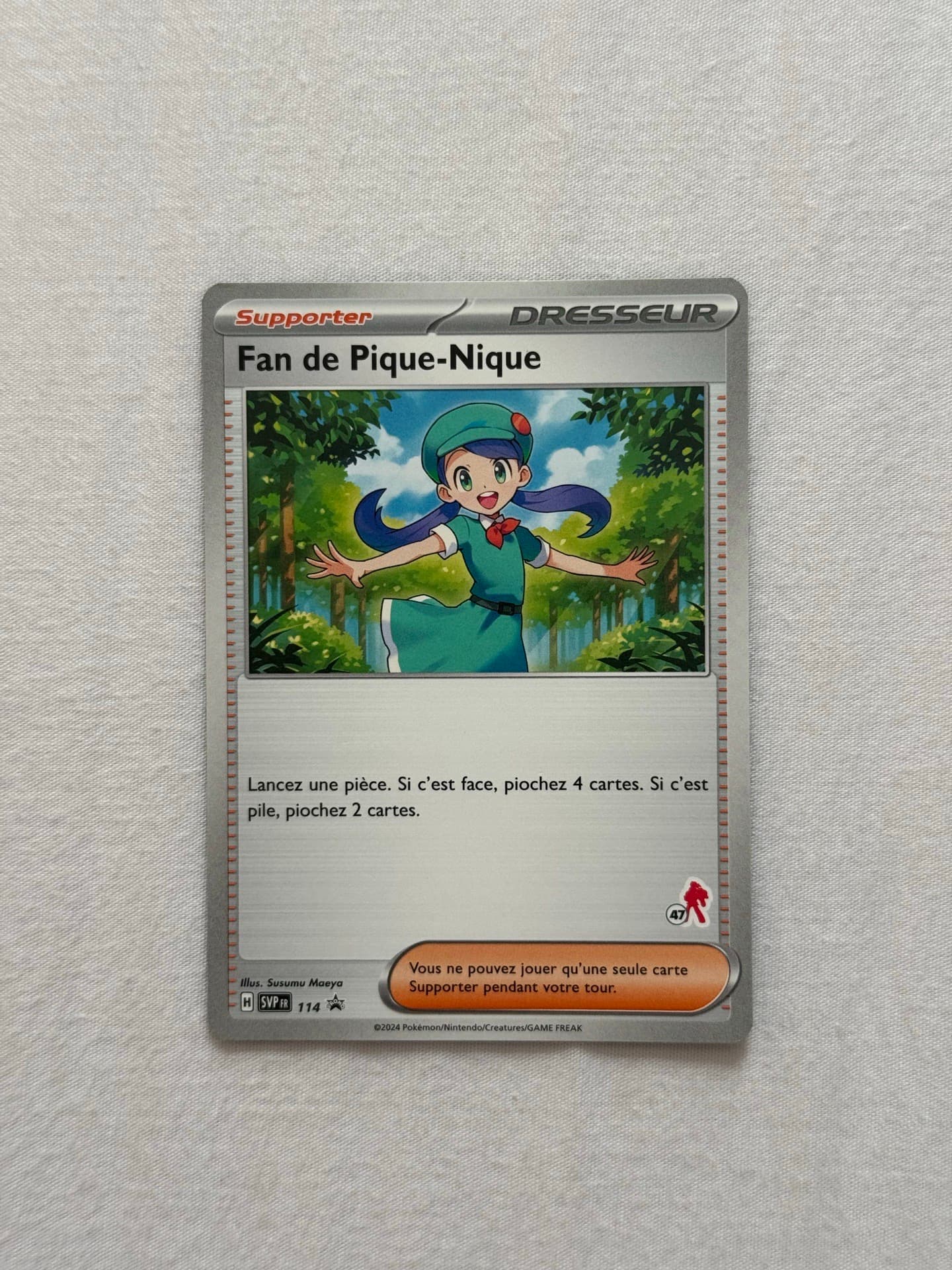Fan de Pique-Nique