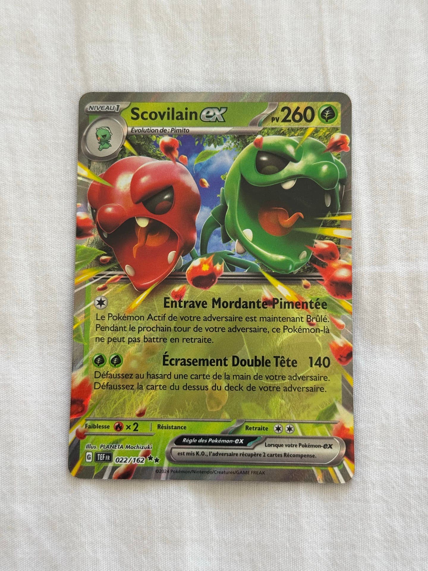 Scovilain ex
