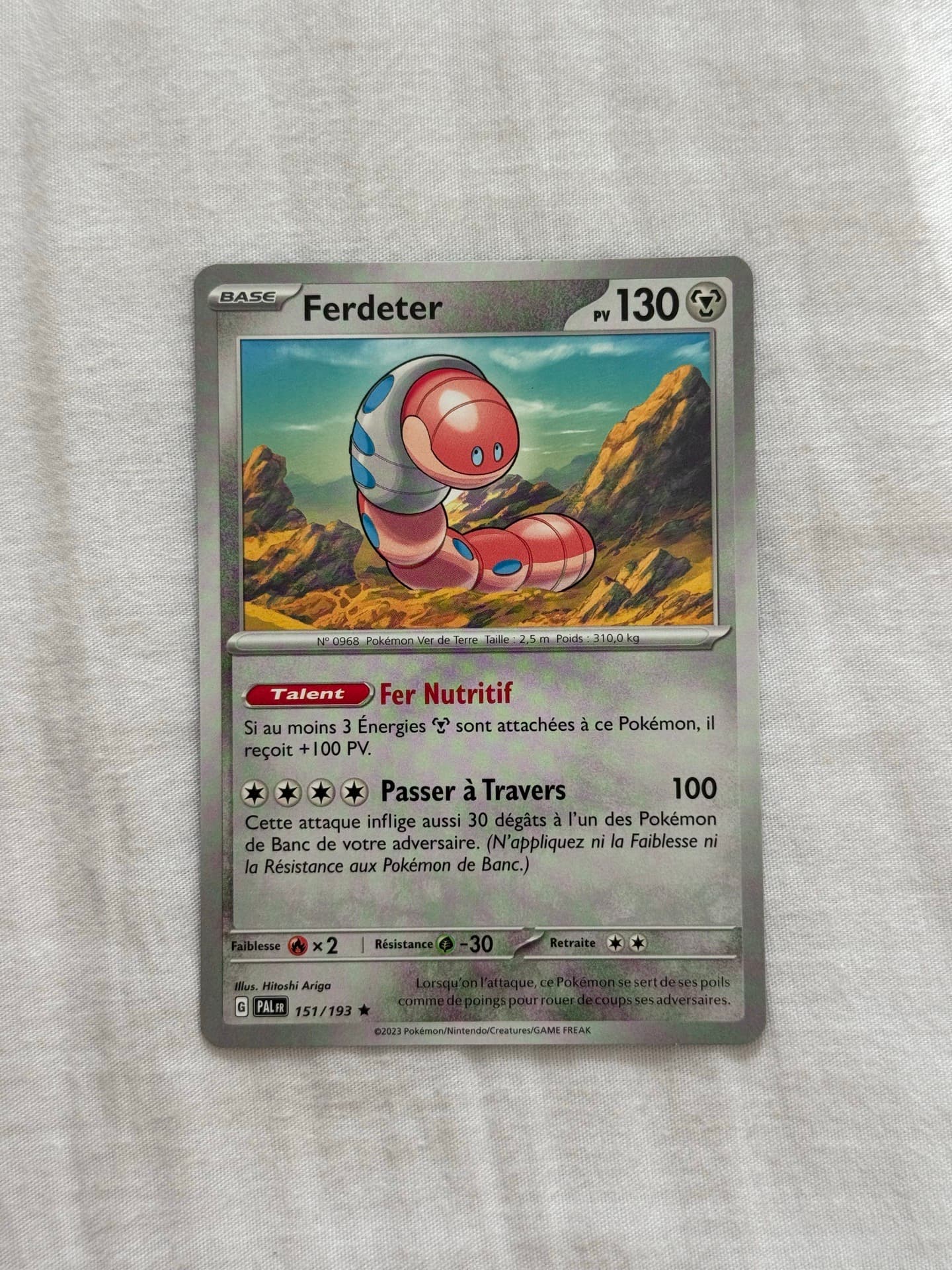 Ferdeterr