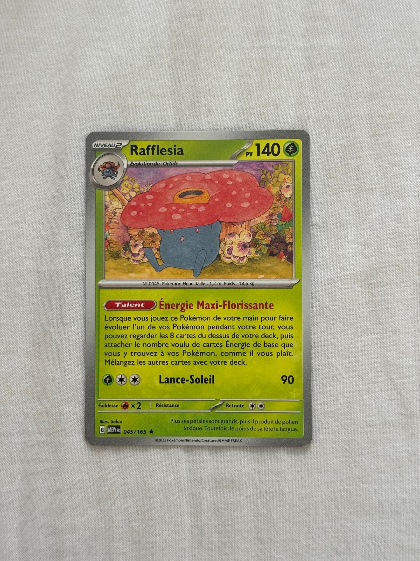 Rafflesia