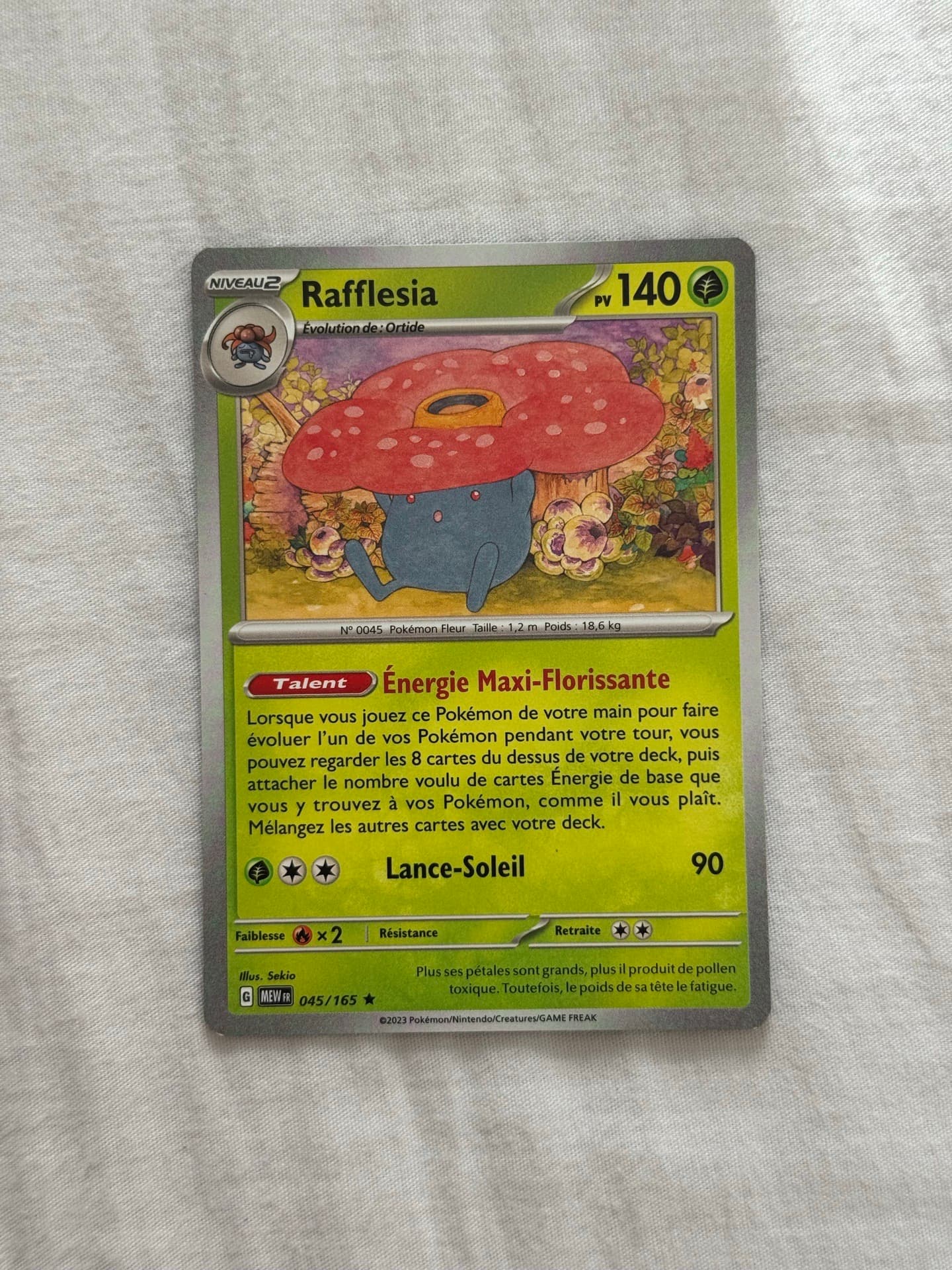 Rafflesia