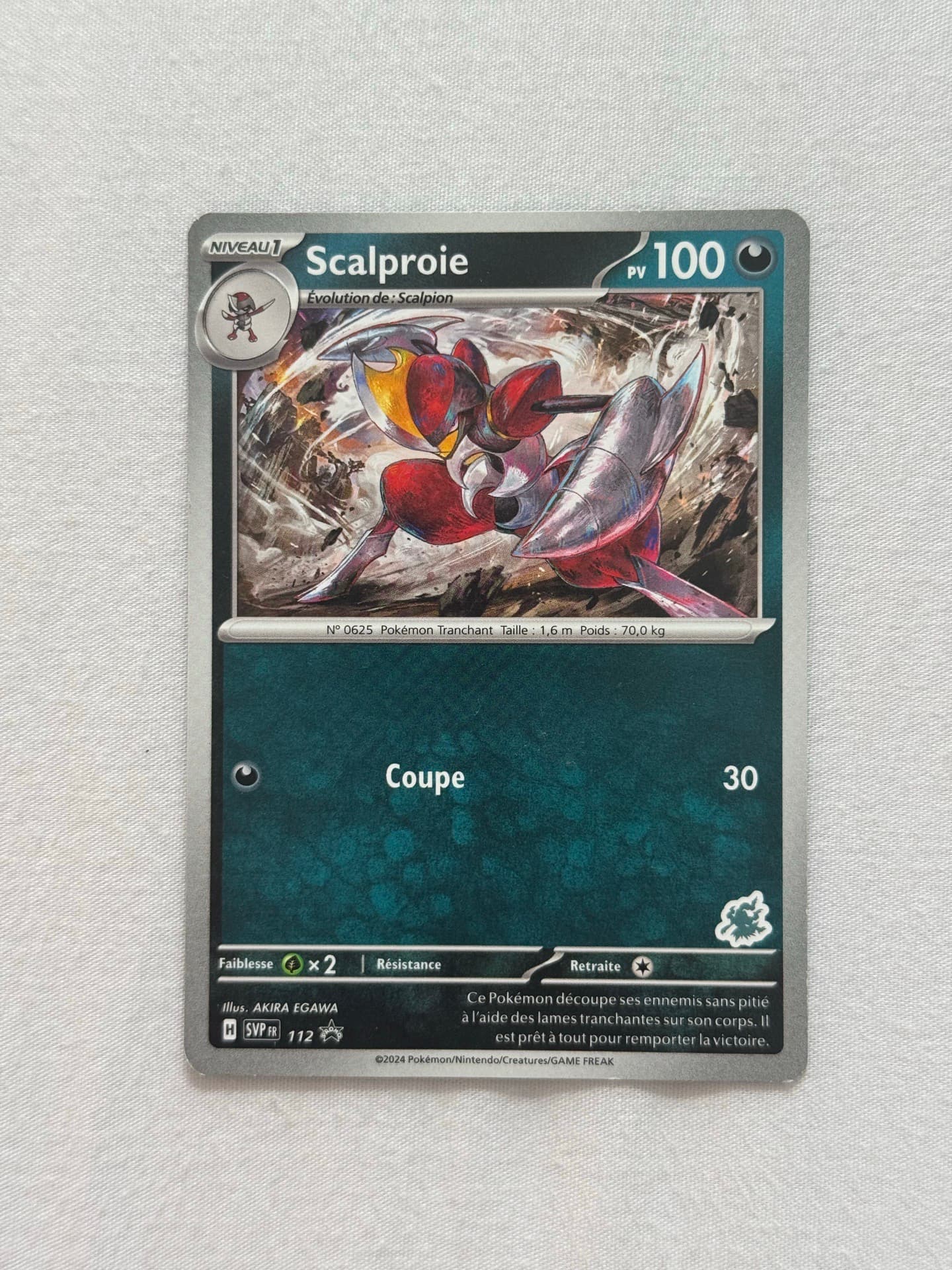 Scalproie