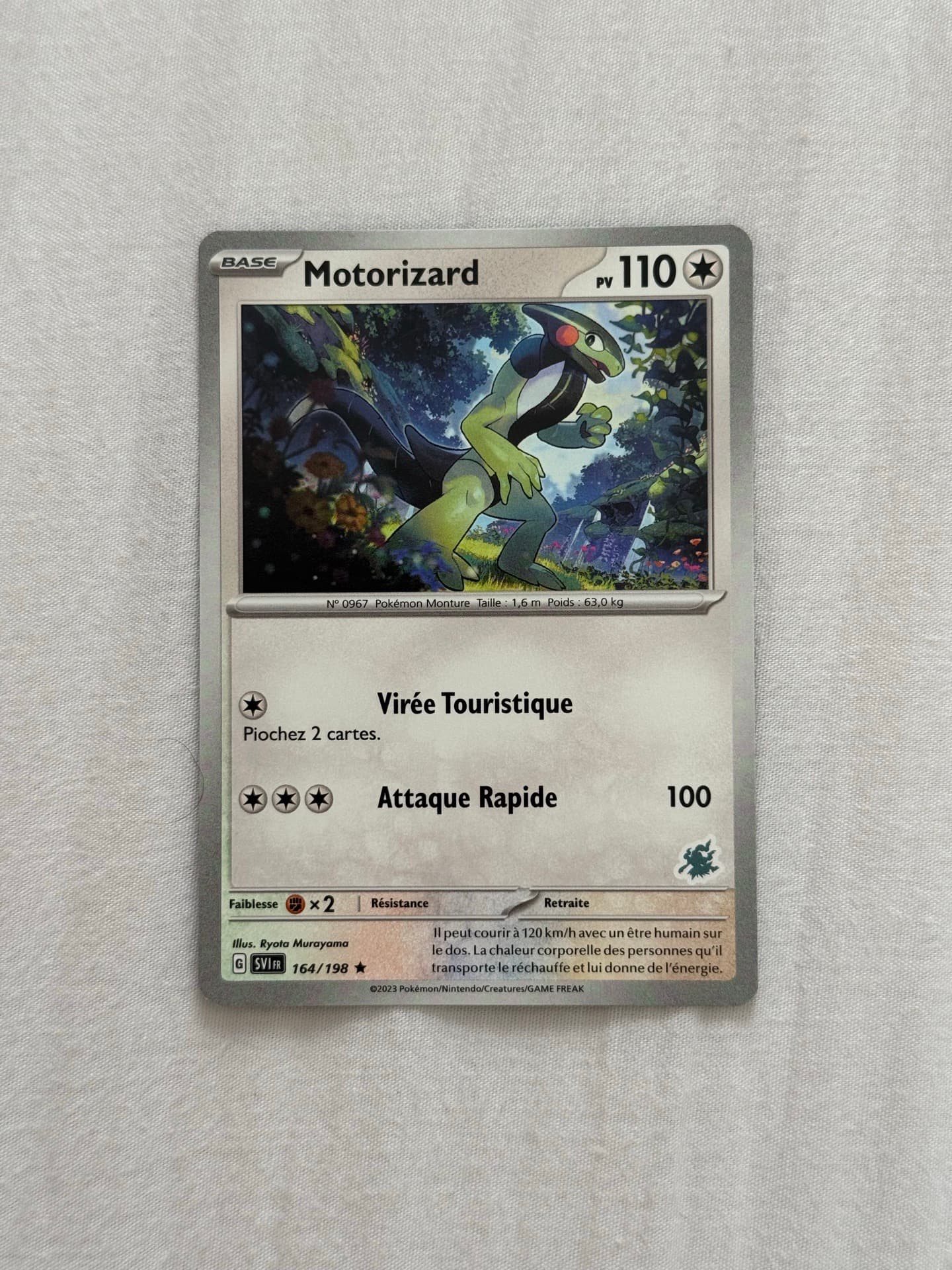 Motorizard